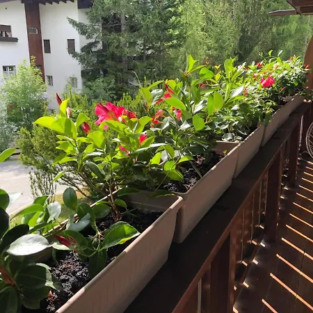 Apartment Cortina Cortina d'Ampezzo